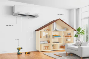 Explore Rotterdam’s Dutch Lessons & Courses Online